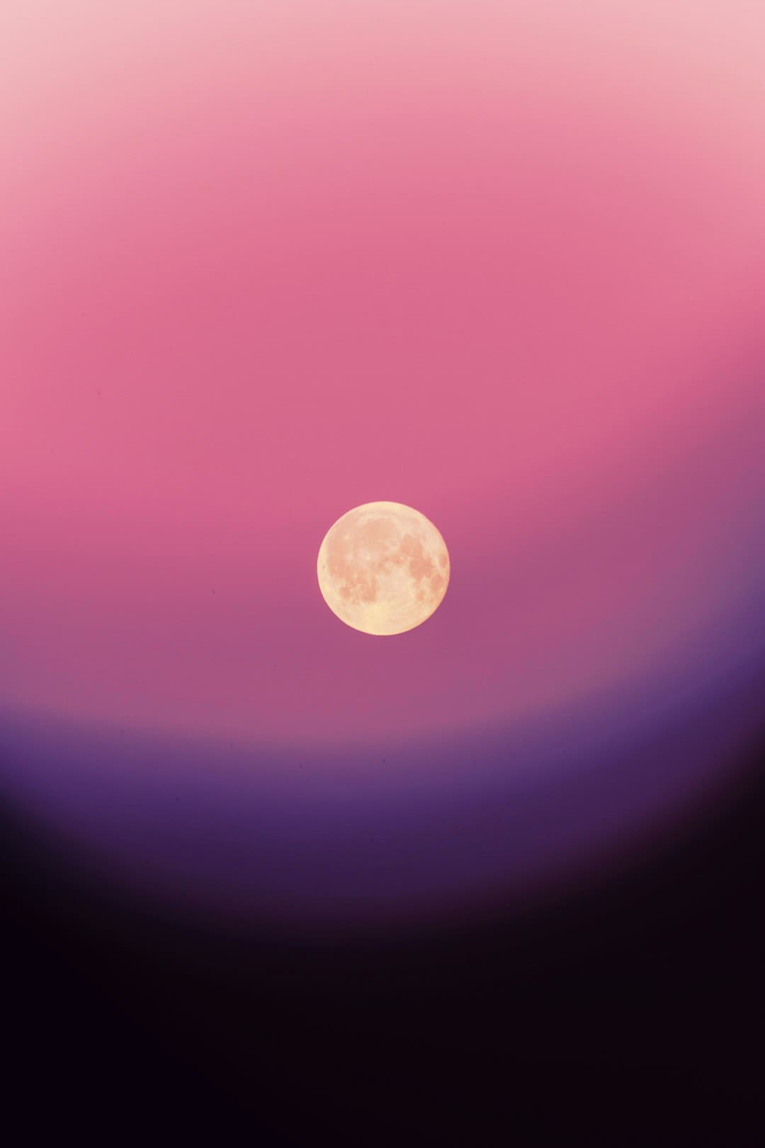 致景科技获评零碳节“双碳数字前锋奖”